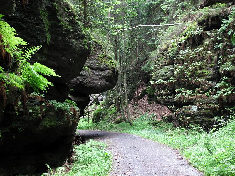 2010-06-12, Uttewalder Grund (30).jpg